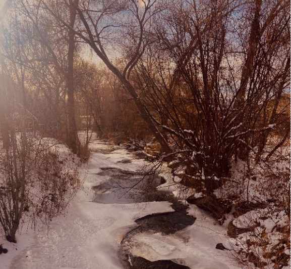 Mancos River in Winter